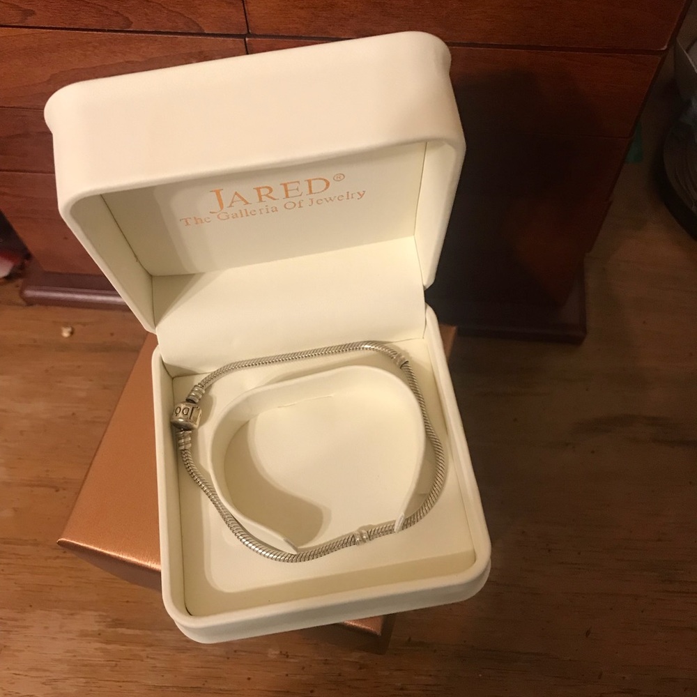 Pandora Bracelet